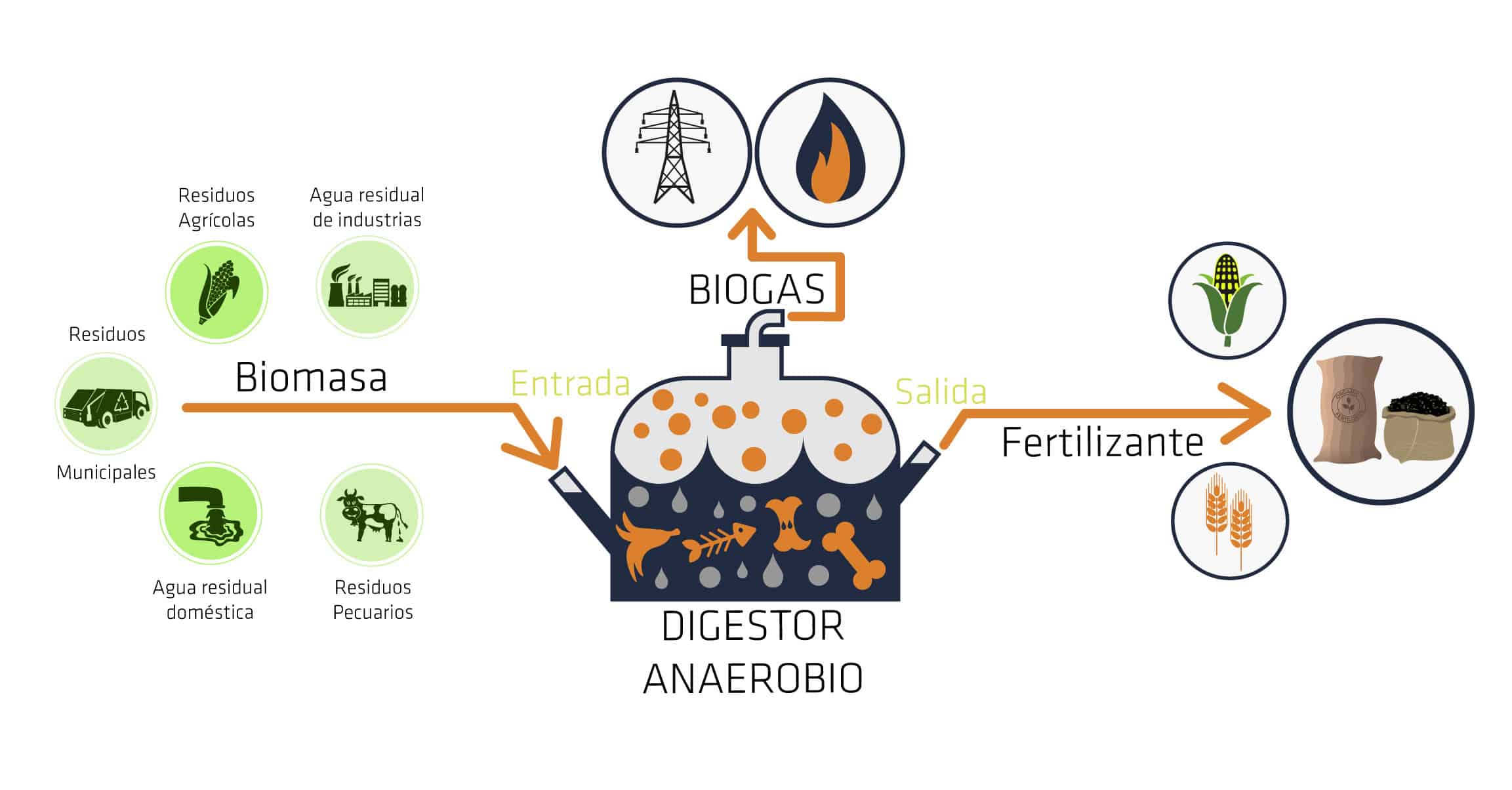 Digestor Anaerobio