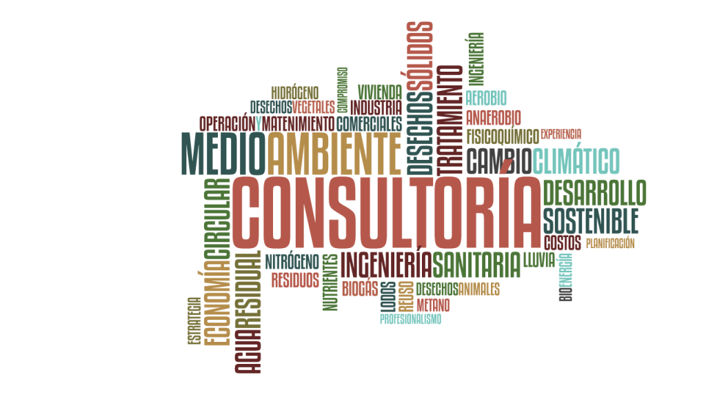 Servicios de Consultoría